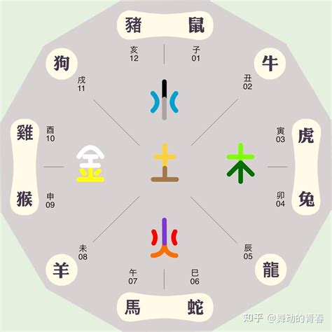 五行 生肖|十二生肖对应的五行及属相年份五行对照表